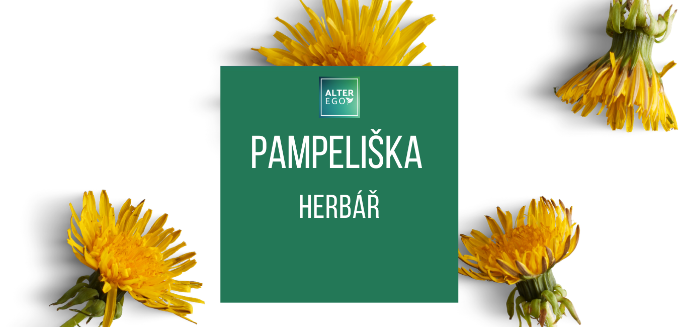 Herbář Pampeliška