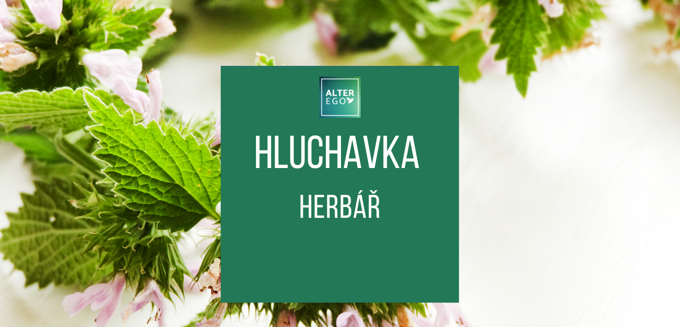 Herbář Hluchavka