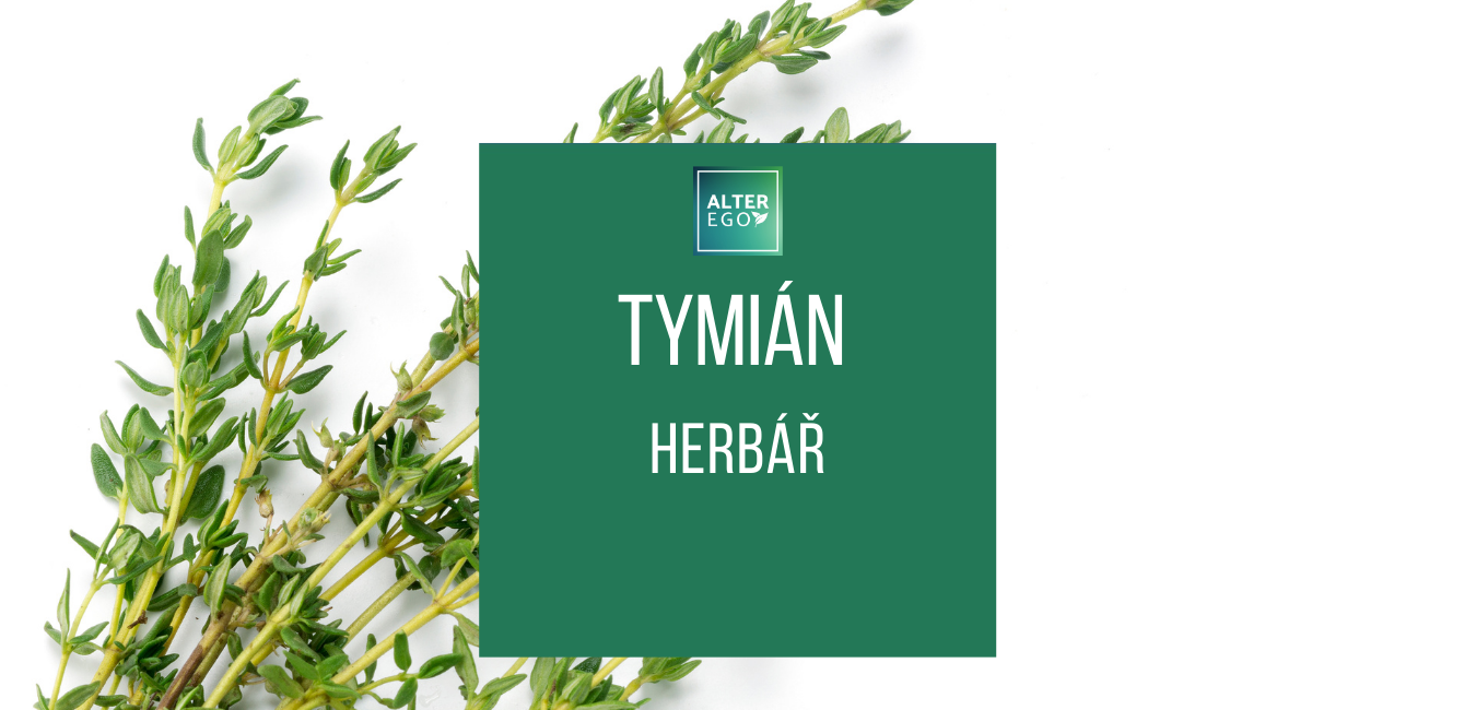 Herbář Tymián