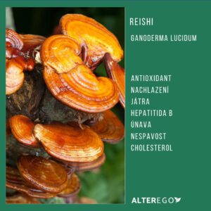 Reishi