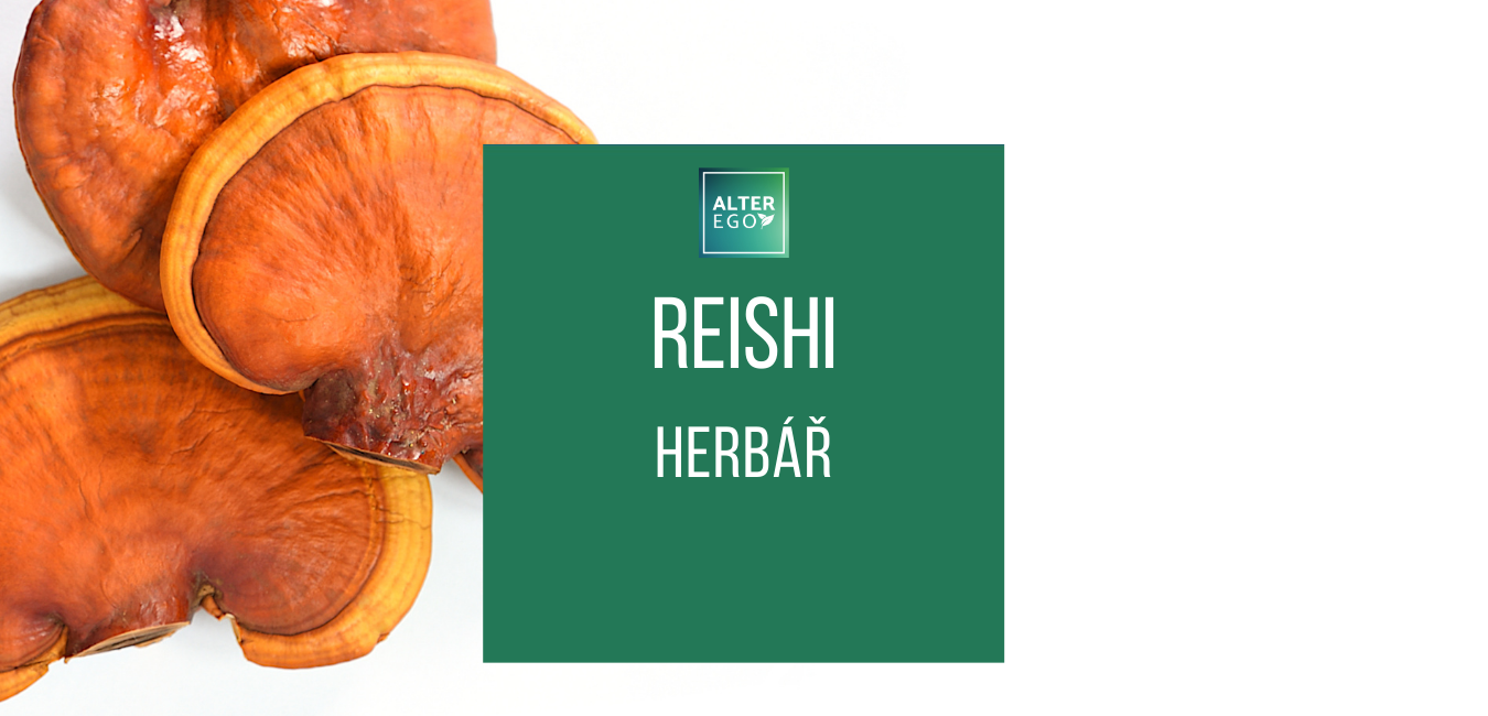 Reishi