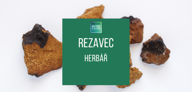 Rezavec