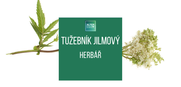 Tužebník Jilmový